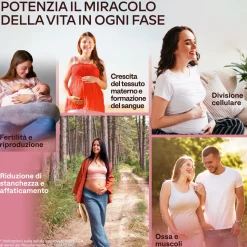 Aavalabs Acido Folico 400 μg | Per gravidanza e maternità | 120 capsule
