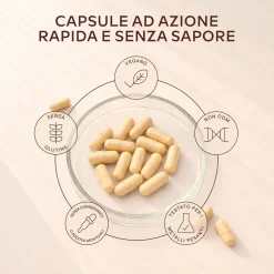 Aavalabs Acido Folico 400 μg | Per gravidanza e maternità | 120 capsule