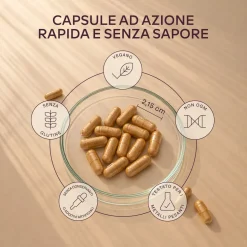 Aavalabs Ferro Bisglicinato e Vitamina C | Alto dosaggio, vegano | Scorta 4 mesi