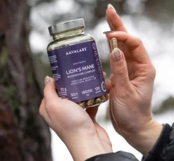 Aavalabs Lion's Mane (Hericium Erinaceus) 18.000 mg, 30:1 | Reishi e Cordyceps | Scorta per 4 mesi
