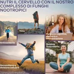 Aavalabs Lion's Mane (Hericium Erinaceus) 18.000 mg, 30:1 | Reishi e Cordyceps | Scorta per 4 mesi
