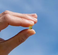 Aavalabs Vitamina D3 2000 UI | Alto dosaggio | Scorta 1 anno
