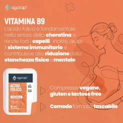 Acido Folico vitamina (vitamina B9) per la gravidanza 400 cpr
