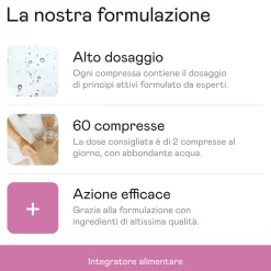 Aenea, Microcircolo