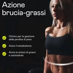 Aenea, ThermoTonic