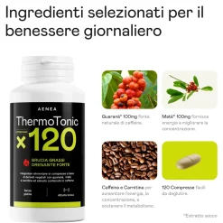 Aenea, ThermoTonic