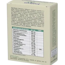 AF Nutrition Estiven 2.0 Capsule