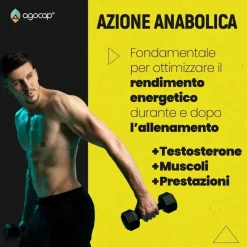 agocap - Integratore alimentare ZMA a base di Zinco, Magnesio e Vitamina B6 - Recupero sportivo
