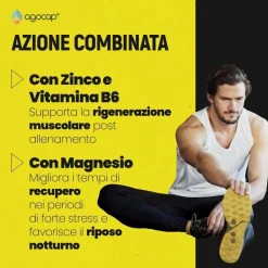 agocap - Integratore alimentare ZMA a base di Zinco, Magnesio e Vitamina B6 - Recupero sportivo
