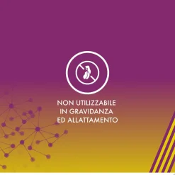 Alanerv On Integratore Antiossidante Neurotrofico in Capsule