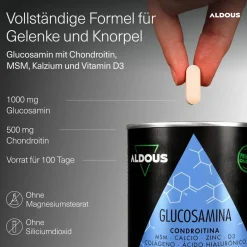 Aldous Compresse di Glucosamina e Condroitina