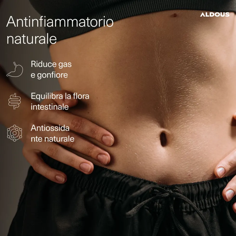 Aldous - Curcuma con Probiotici Gummies - Antinfiammatorio Naturale