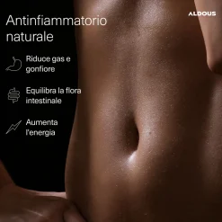 Aldous - Curcuma con Probiotici -Antinfiammatorio Naturale