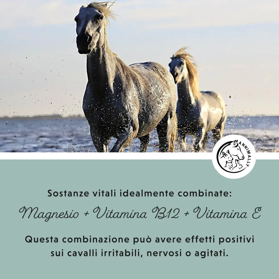 Annimally Pellet di Magnesio