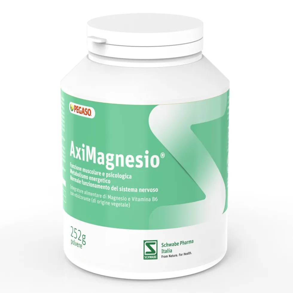 Aximagnesio Polvere 252 G