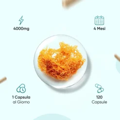 Capsule di Irish Sea Moss WeightWorld