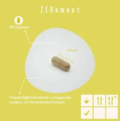 Capsule Solar Care Zenement
