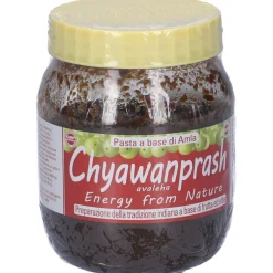 Chyawanprash Special 500 G