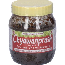 Chyawanprash Special 500 G