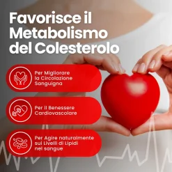 Colesterolo Lipid Complex – Scorta 3 Mesi | Riso Rosso Fermentato, Monacolina K, Q10 | Vitastrong
