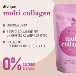 Divique Polvere Multi Collagene