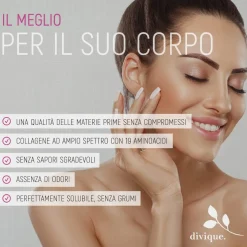 Divique Polvere Multi Collagene