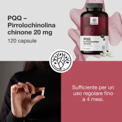 HealthyWorld PQQ – Pyrrolochinolinchinone 20 mg