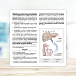Metarecod Bustine Granulari Monodose