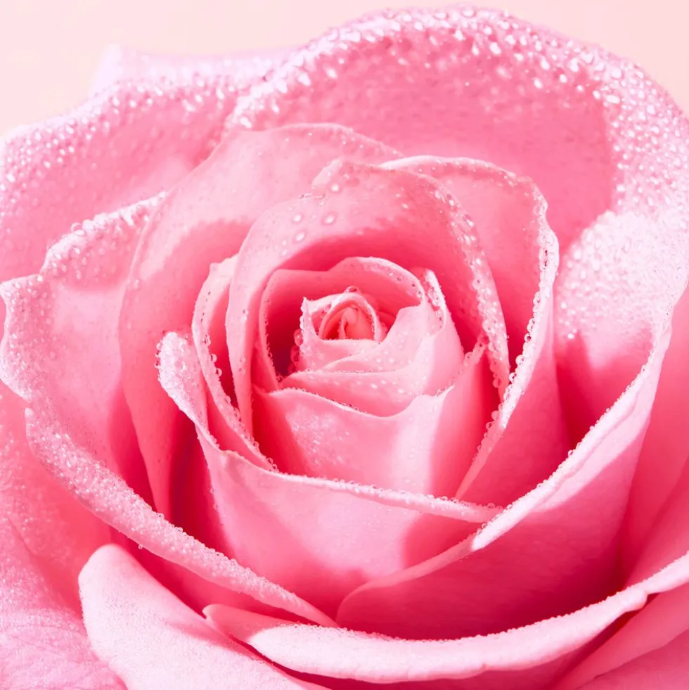 Nuxe Very Rose Mousse Detergente Viso