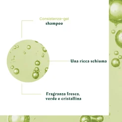 René Furterer Volumea Shampoo volumizzante 200ml -capelli sottili