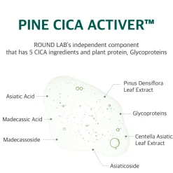 ROUND LAB Pine Calming Cica Pad