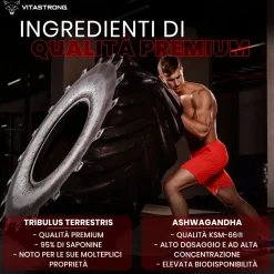 TESTOSTERONE | Vitastrong Testobooster 2x1 con Ashwagandha KSM-66 750mg, Tribulus 95%, Zinco