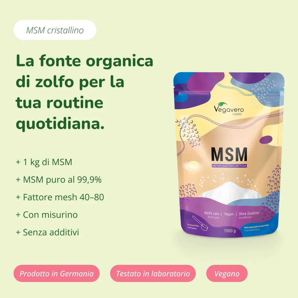 VEGAVERO MSM