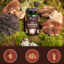 VEGAVERO Mushroom Mix BIO Complex