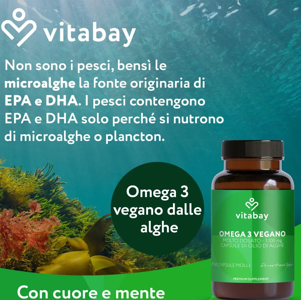 Vitabay Omega 3 Vegana 1100 mg