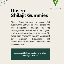 Vita Elements Caramelle gommose Himalaya Shilajit Gold