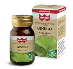 Winter Ginkgo