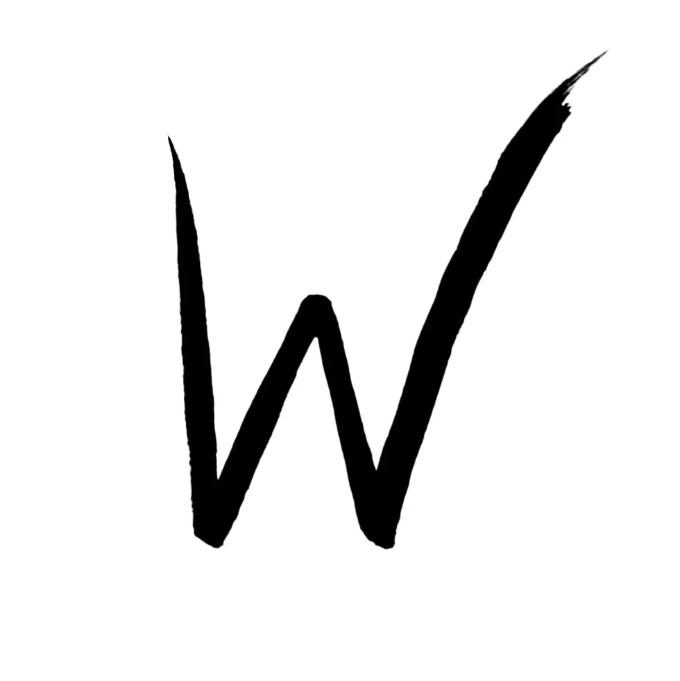 WYCON cosmetics ink liner